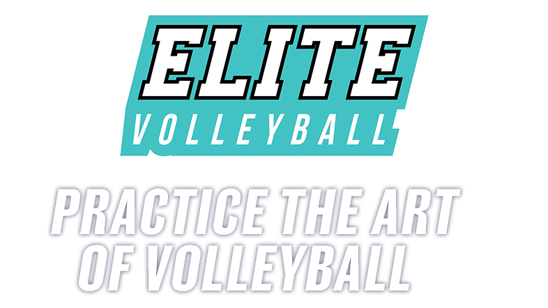elite volleyball academi art of volleyball